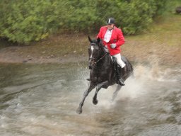 img_9822_web